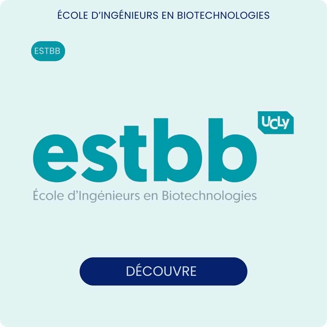 estbb