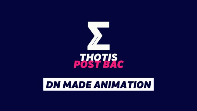 DN MADE ANIMATION