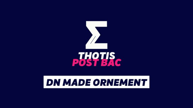 DN MADE ORNEMENT DN MADE ORNEMENT