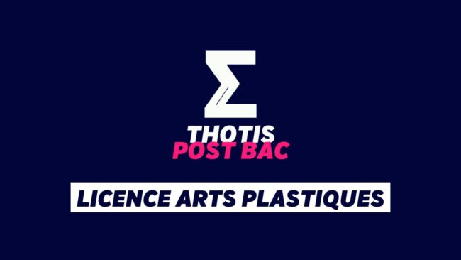Licence Arts plastiques
