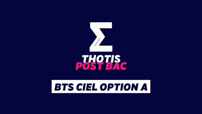 BTS Ciel option A